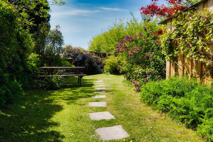 camping exmoor, camping north devon, camping somerset