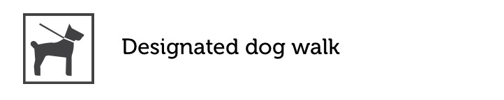 camping exmoor, camping north devon