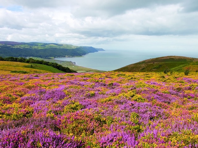 bed breakfast exmoor, b&b exmoor, accommodation exmoor, self catering exmoor, camping exmoor