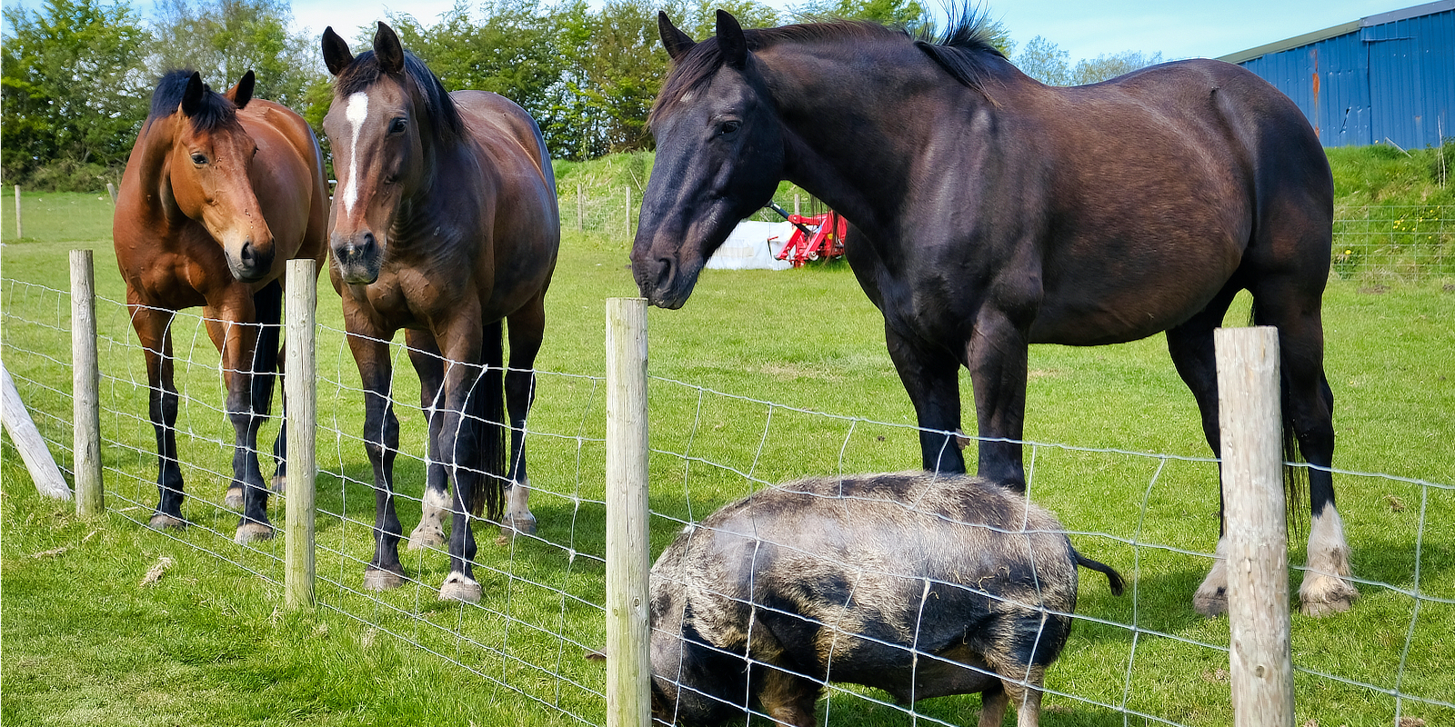 bed breakfast exmoor, b&b exmoor, accommodation exmoor, self catering exmoor, camping exmoor